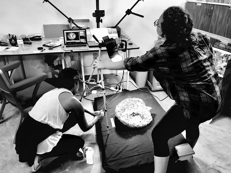 ByrdDataVisualizaitonEntry