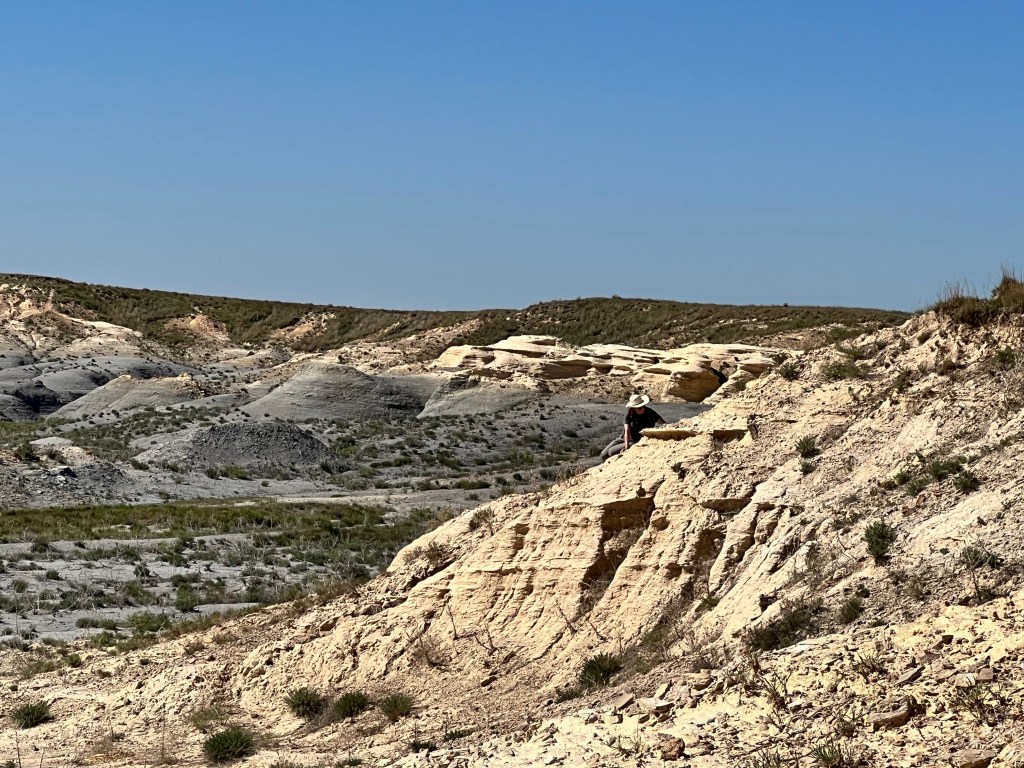Paleontologist looking for fossils on a hillside in the western Kansas badlands. 